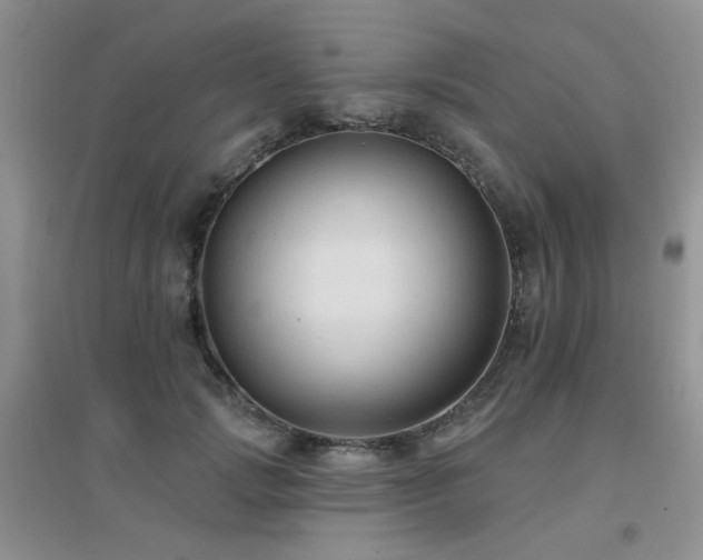X0000096970749200802081252