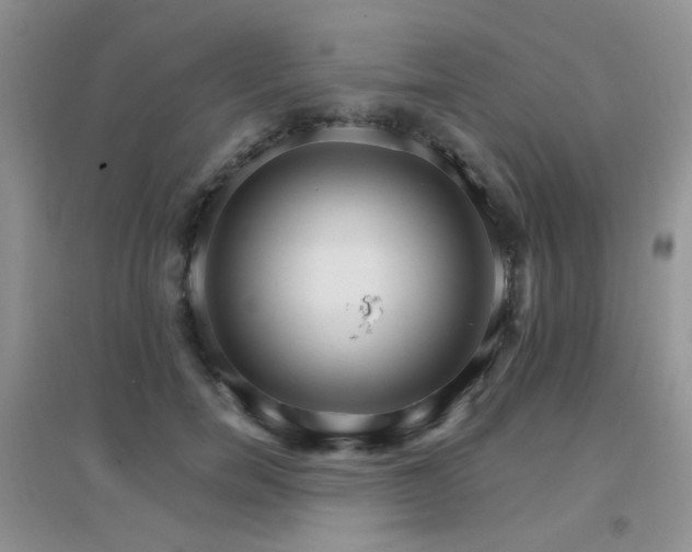X0000096970750200802081252