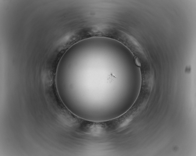 X0000096970751200802081252