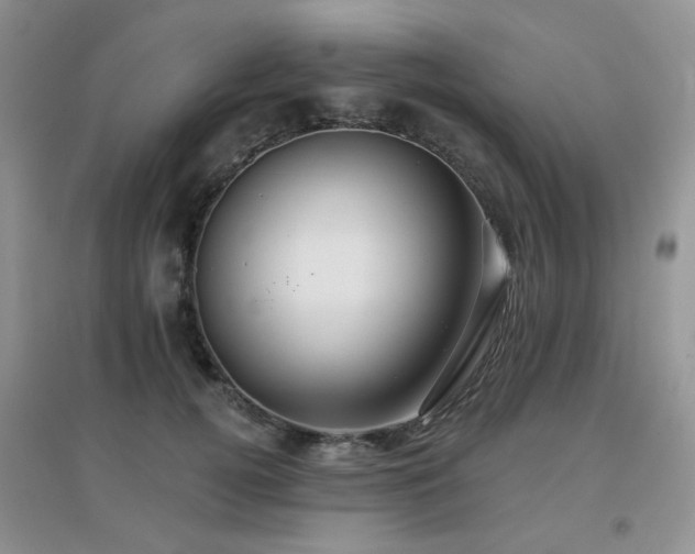 X0000096970752200802081252