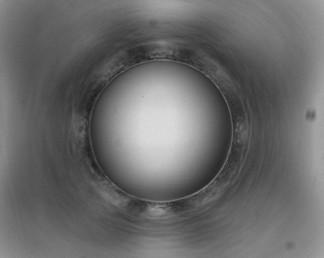 X0000096970753200802081252