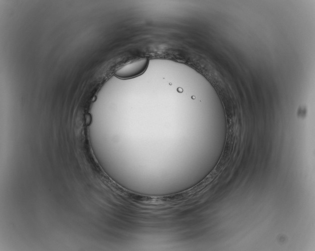 X0000096970754200802081252