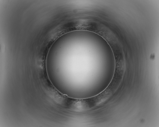 X0000096970755200802081252