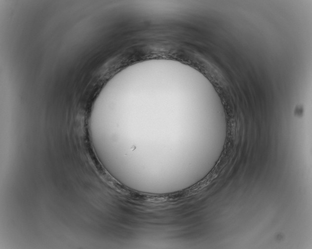 X0000096970757200802081252
