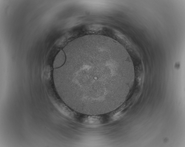 X0000096970758200802081252