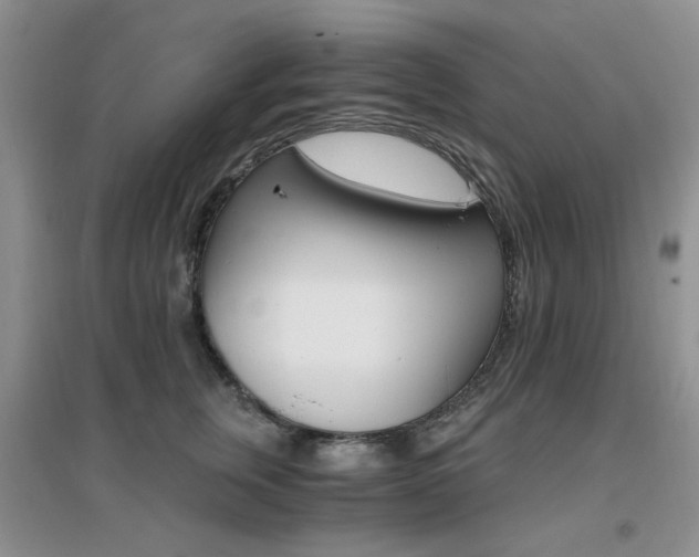 X0000096970759200802081252
