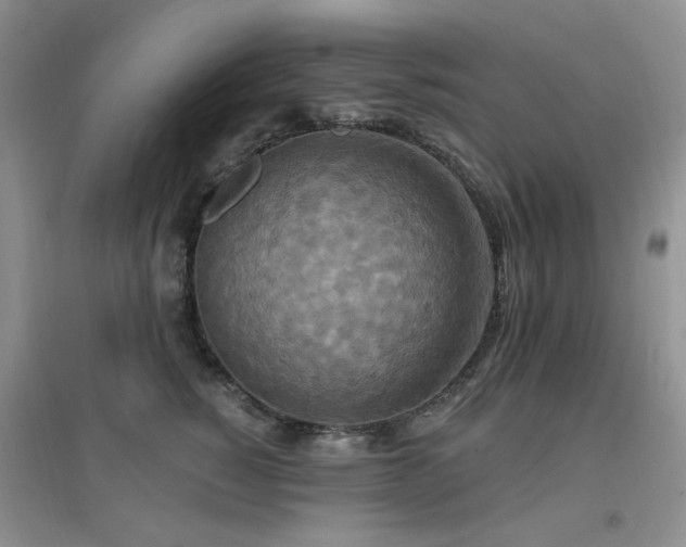X0000096970760200802081252