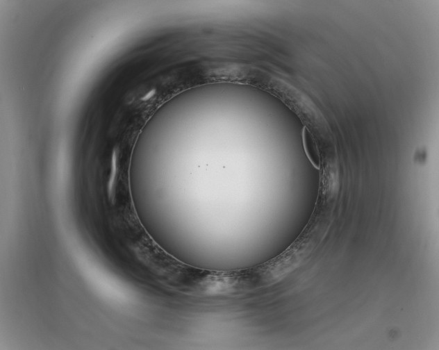 X0000096970764200802081252