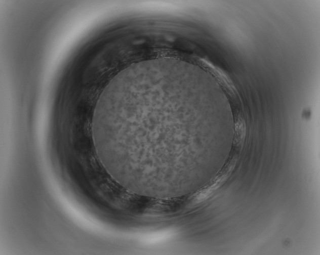 X0000096970765200802081252