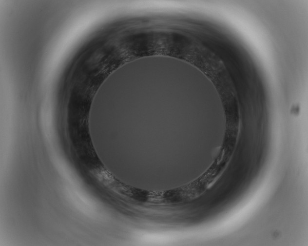 X0000096970766200802081252