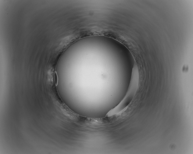 X0000096970768200802081252