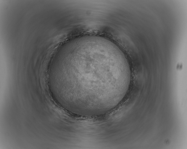 X0000096970769200802081251