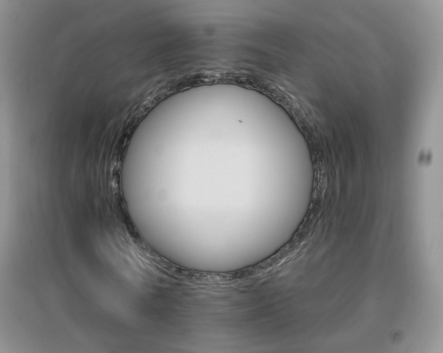 X0000096970770200802081251
