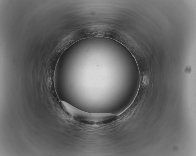 X0000096970771200802081251
