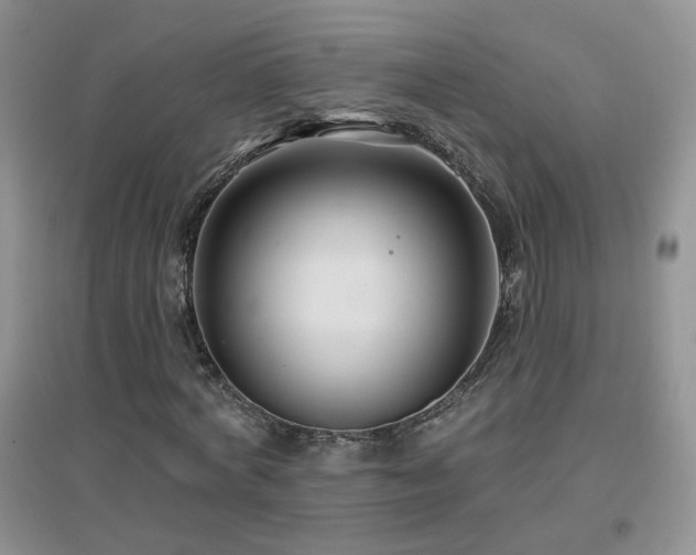 X0000096970772200802081251