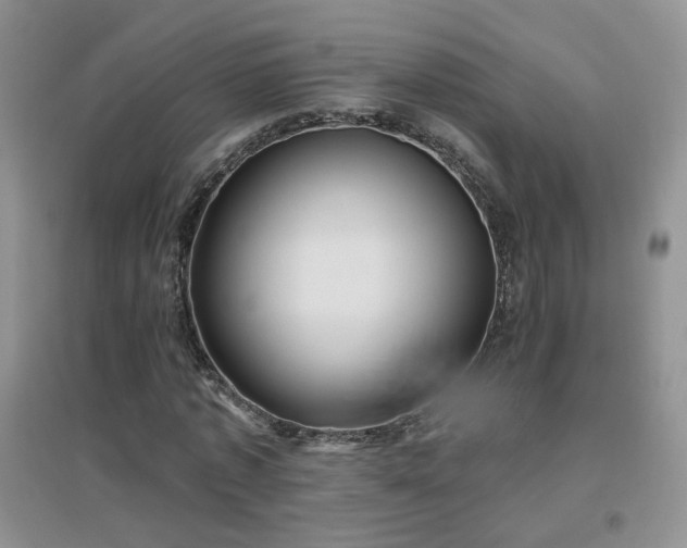 X0000096970773200802081251