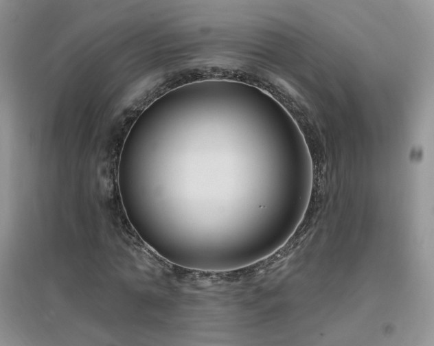 X0000096970774200802081251