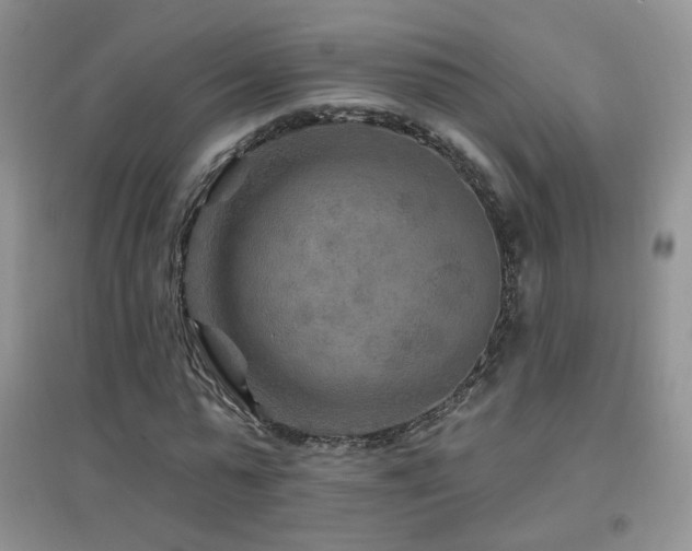 X0000096970775200802081251