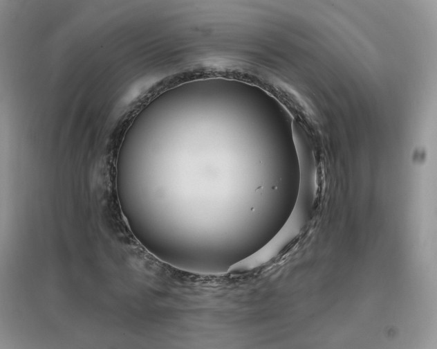X0000096970776200802081251