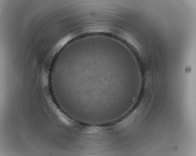 X0000096970777200802081251