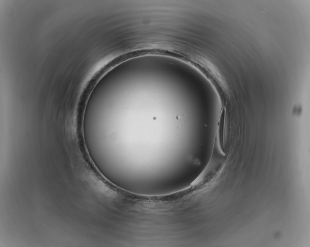 X0000096970780200802081251