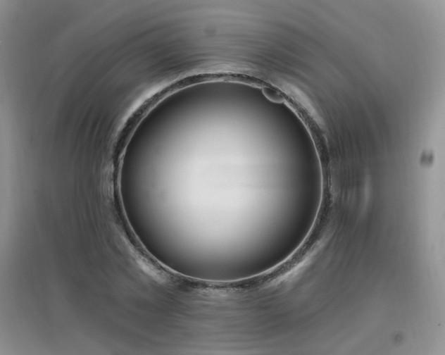 X0000096970781200802081251