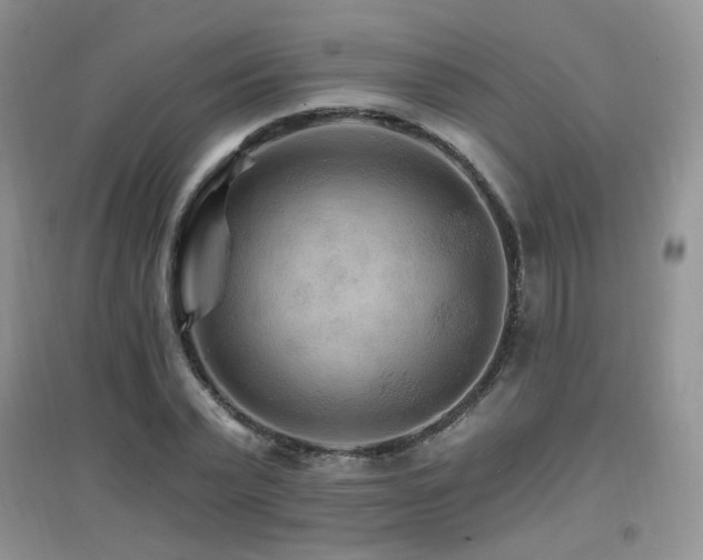 X0000096970783200802081251