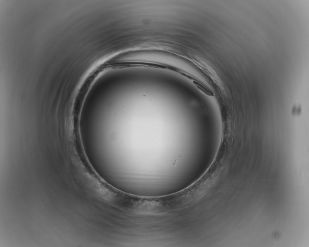 X0000096970784200802081251