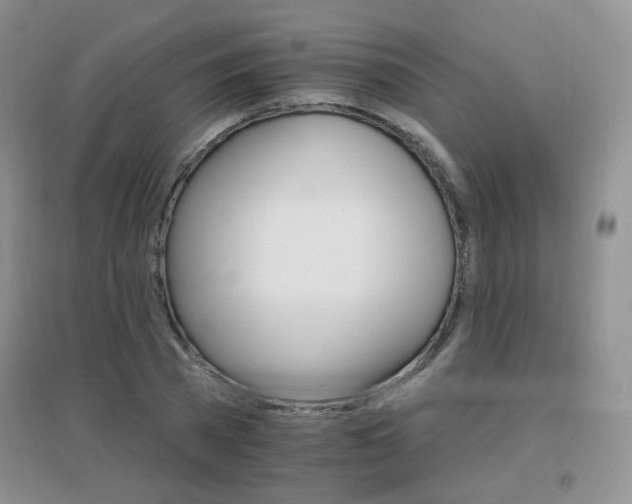X0000096970785200802081251