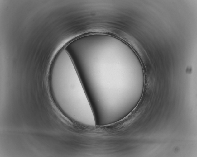 X0000096970787200802081251