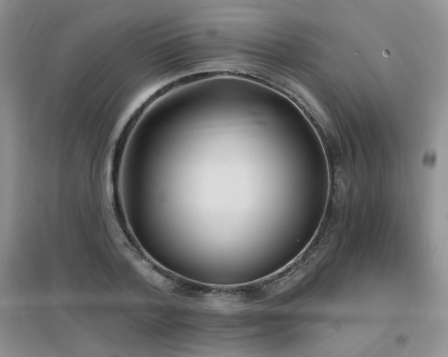 X0000096970788200802081251