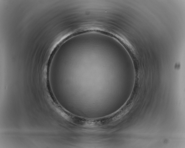 X0000096970790200802081251