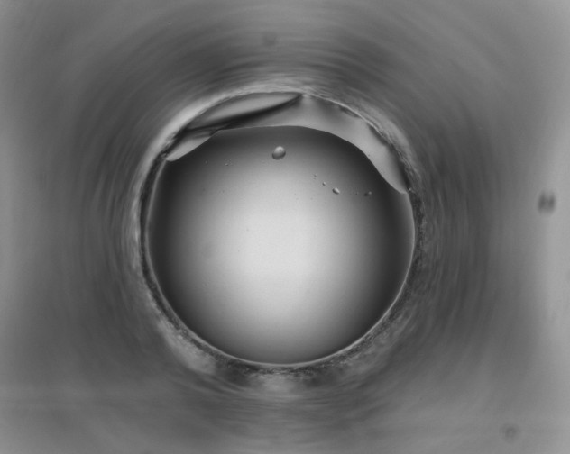 X0000096970792200802081251