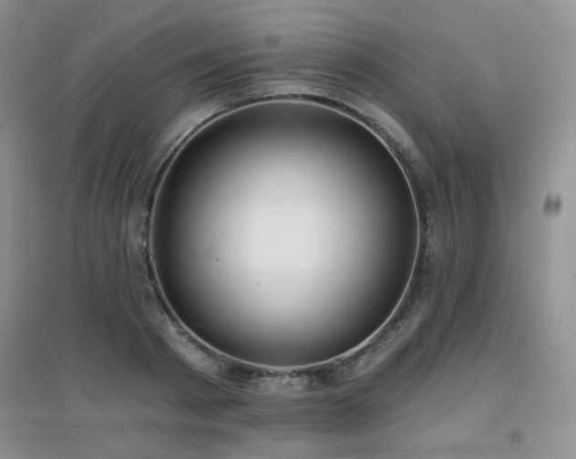 X0000096970793200802081251