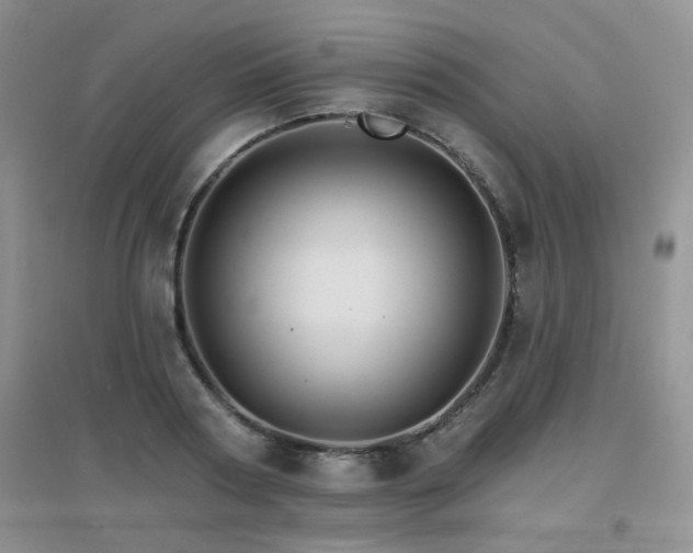 X0000096970794200802081251
