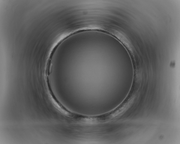 X0000096970797200802081251