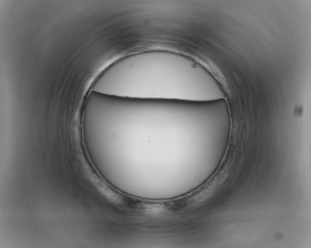 X0000096970798200802081251