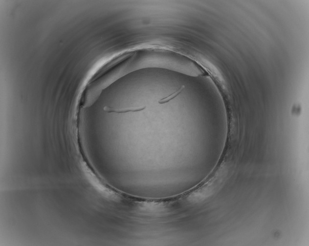 X0000096970800200802081251