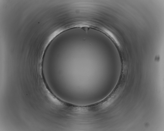 X0000096970802200802081251