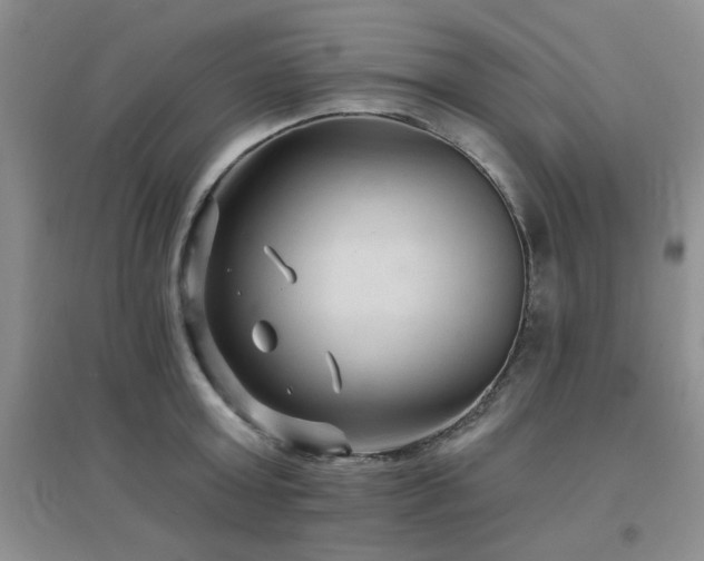 X0000096970803200802081251