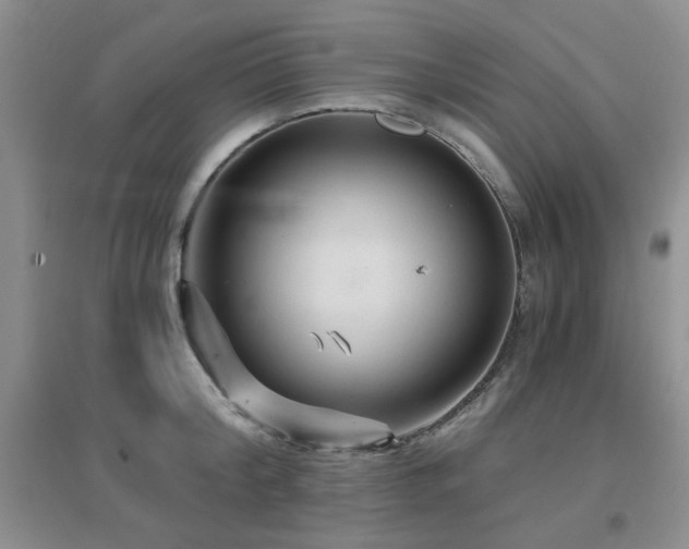 X0000096970804200802081251