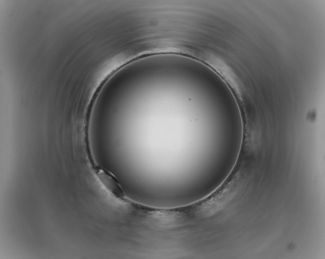X0000096970805200802081251