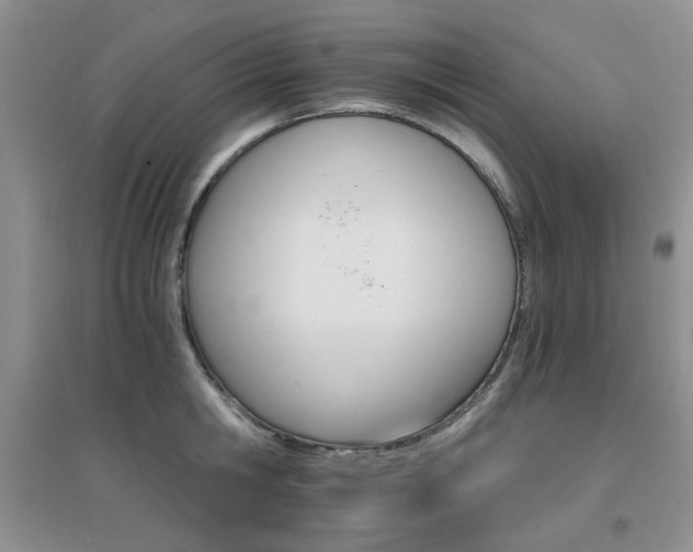 X0000096970806200802081251