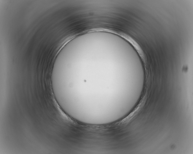 X0000096970809200802081251