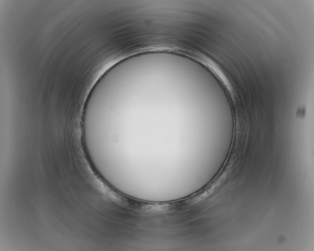 X0000096970810200802081251