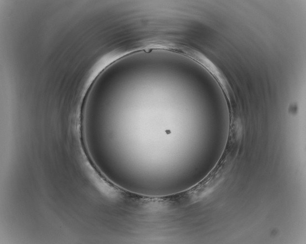 X0000096970811200802081251