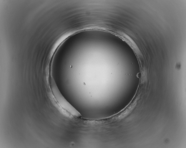 X0000096970812200802081251