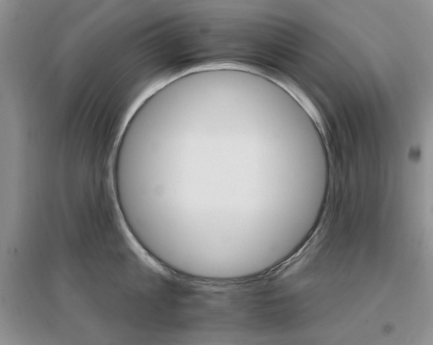 X0000096970813200802081251