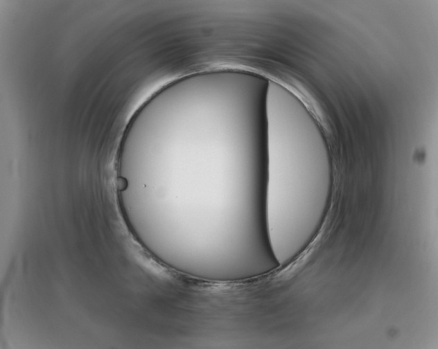 X0000096970814200802081251