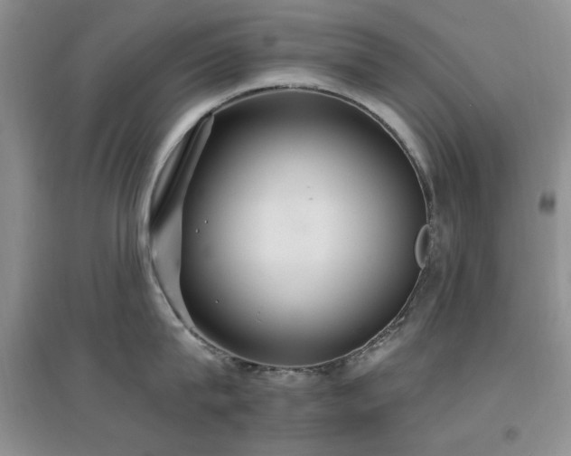 X0000096970815200802081251